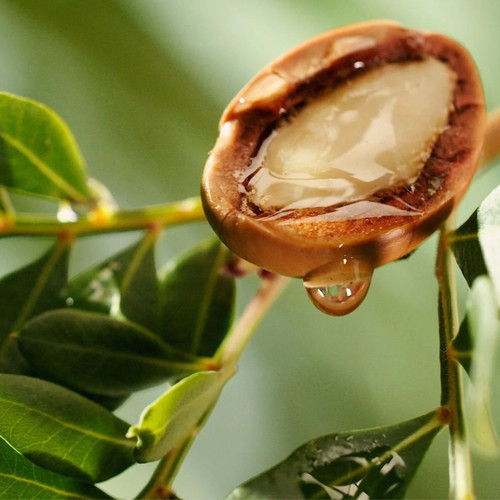 Argan Carrier Oil - Cosmetic Grade - Refined