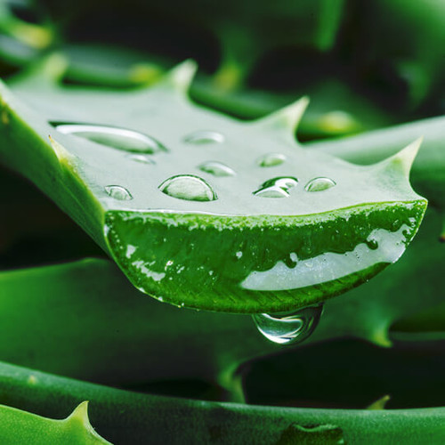 Aloe Vera Gel: Hydration & Nourishment | NDA