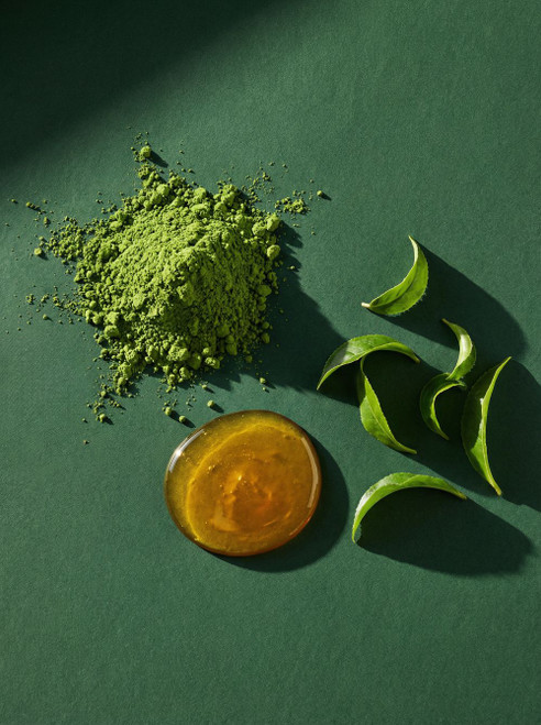 Honeyed Matcha | Cultured Gourmand Fragrance Oil