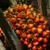 MCT 60/40 RSPO MB Carrier Oil