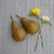 Pear dew fragrance oil