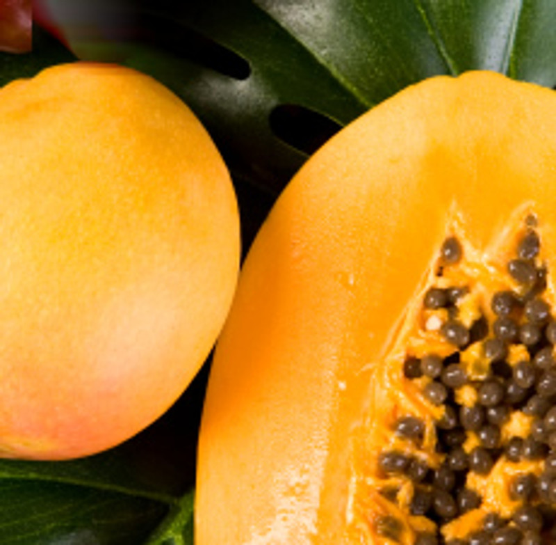 ★papayamango★ Mango Papaya Fragrance Oil - Nature's Garden Candles