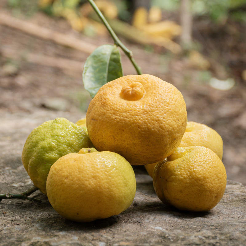 エッセンシャルオイル itsu Yuzu Essential Oil | Versatile | Fruit & Citrus Aroma