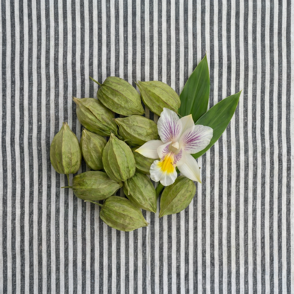cardamom flower