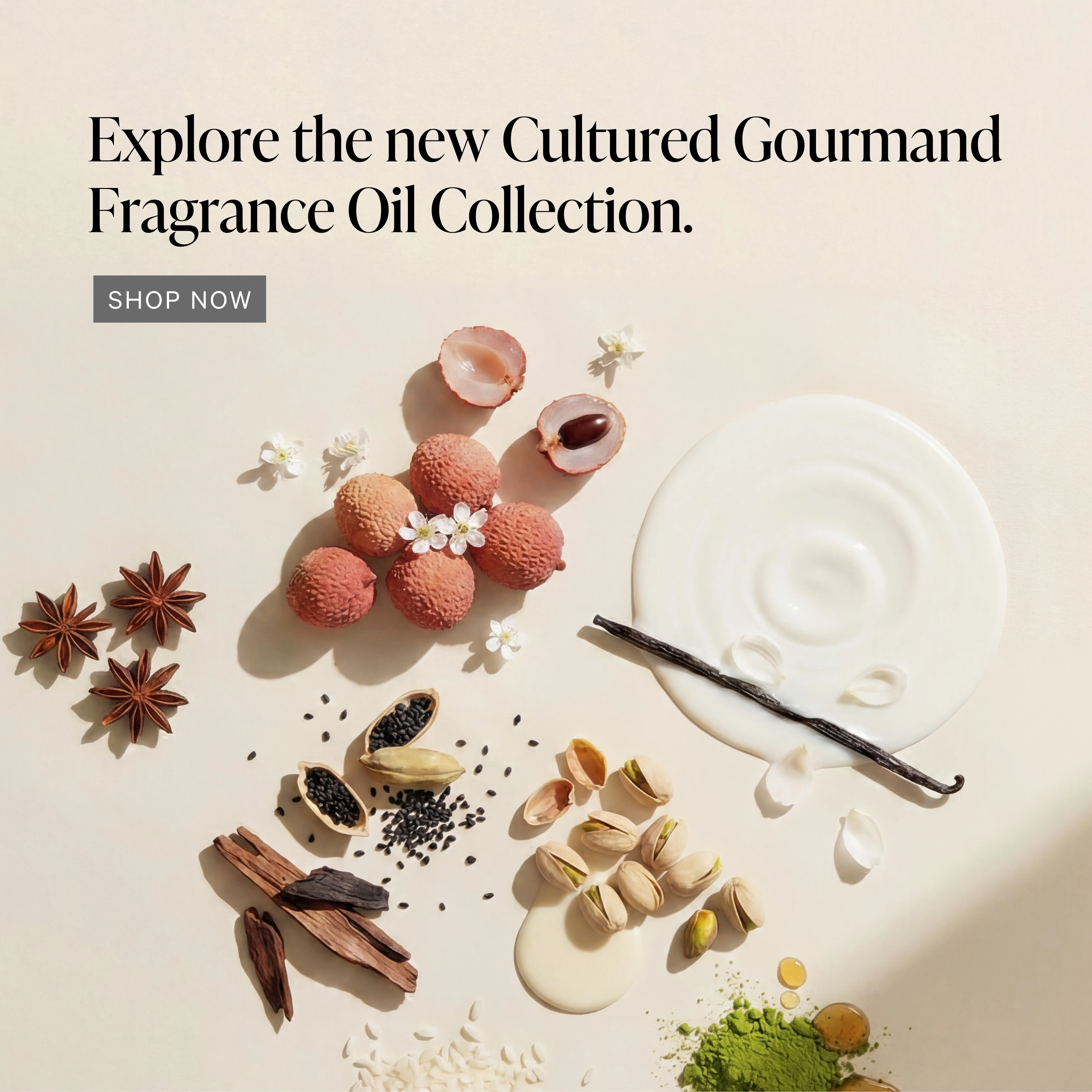 Shop the Cultured Gourmands Signature Fragrance Collection