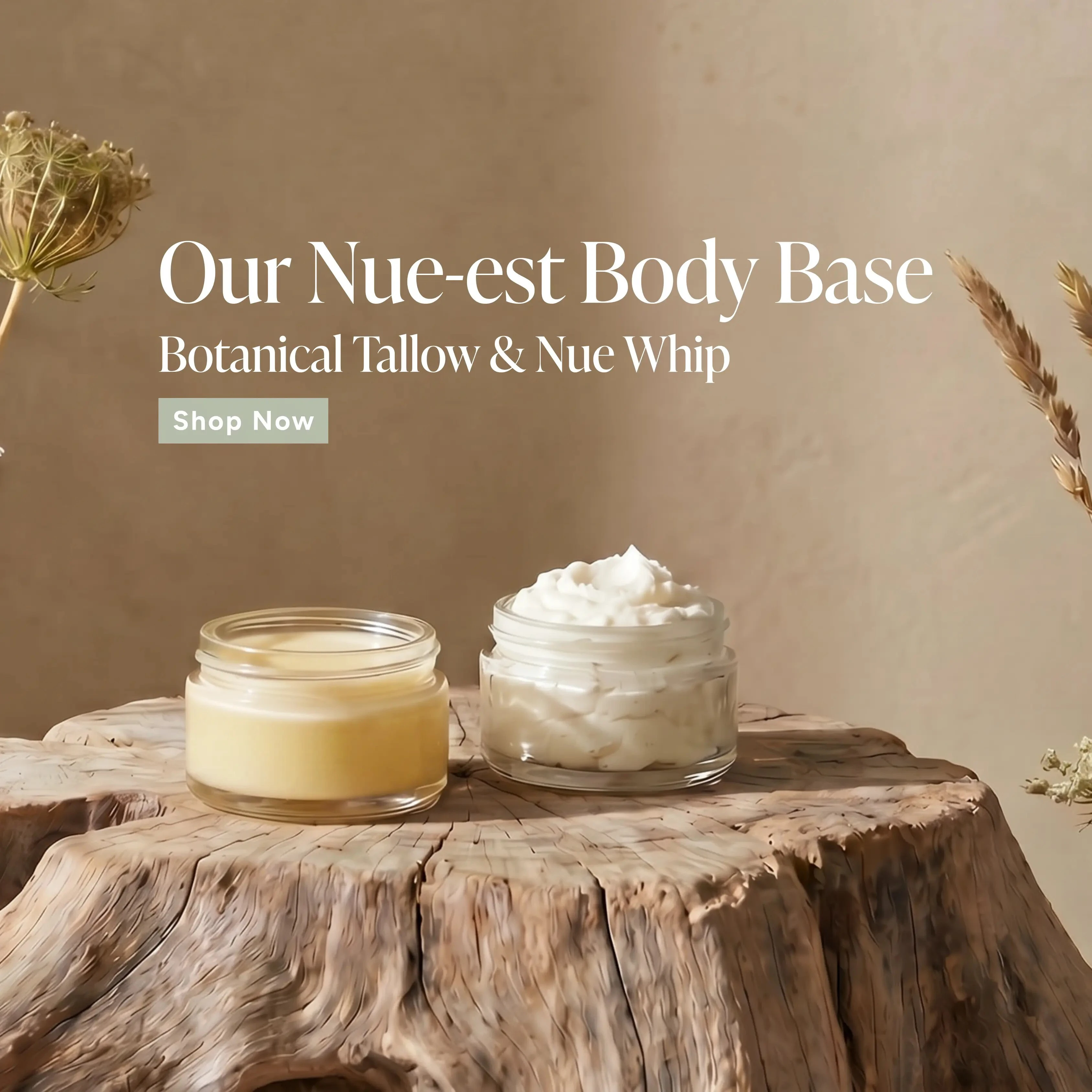 Shop Botanical Tallow and Nue Whip