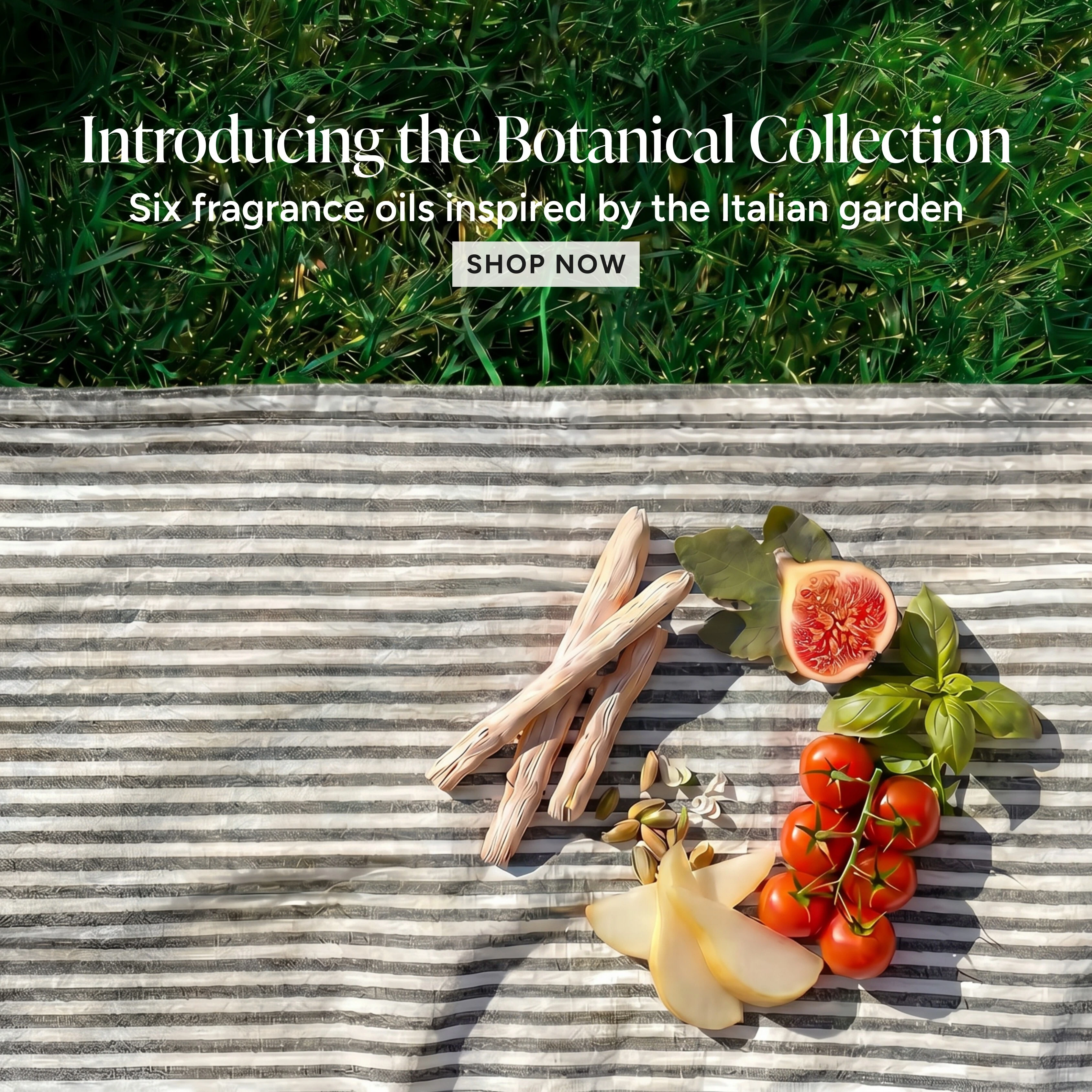 Shop the Modern Botanical Signature Fragrance Collection