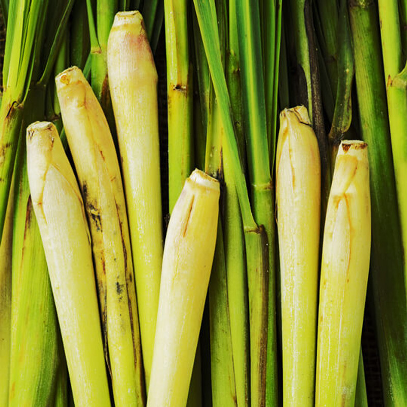 Lemongrass Essential Oil