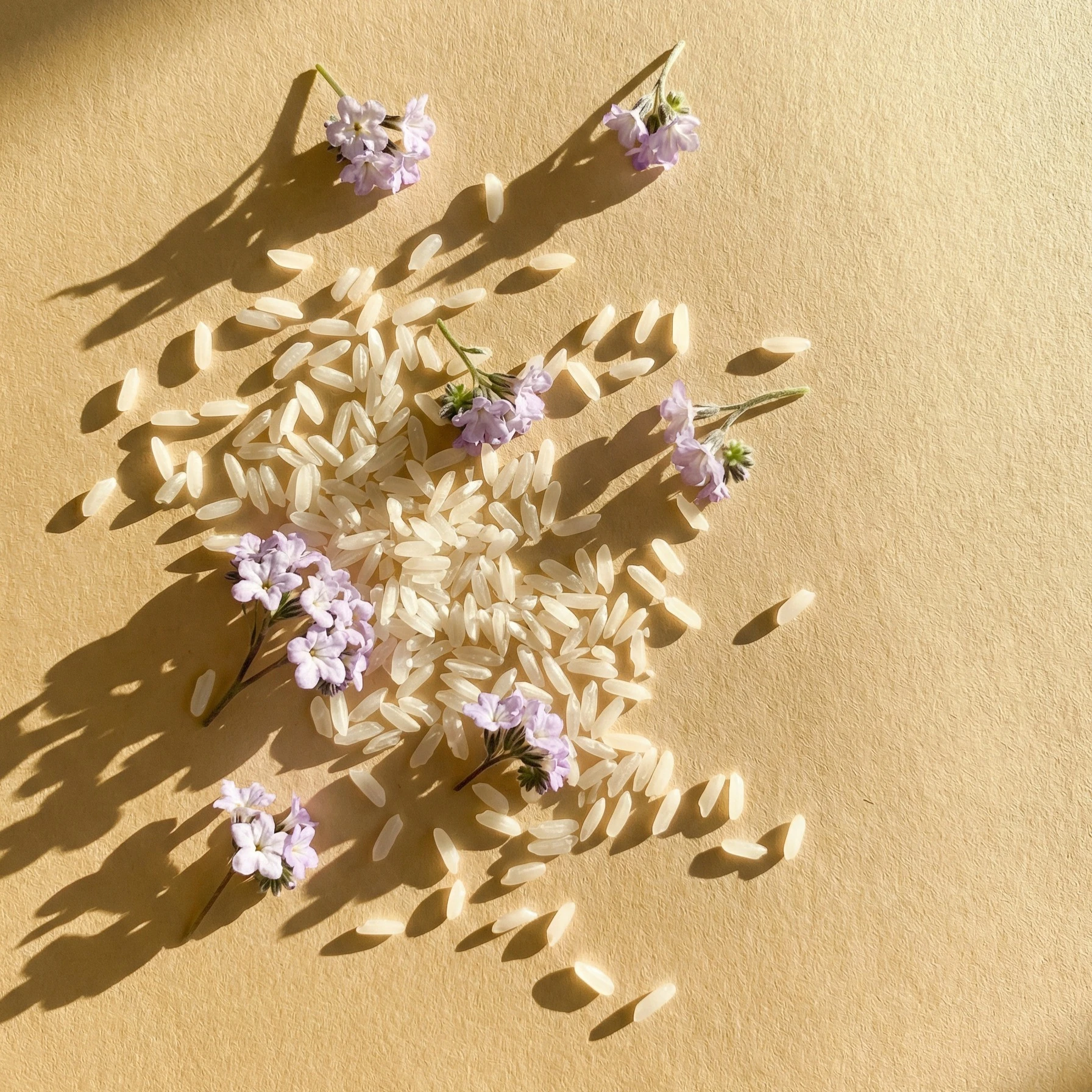 Alternative banner alt