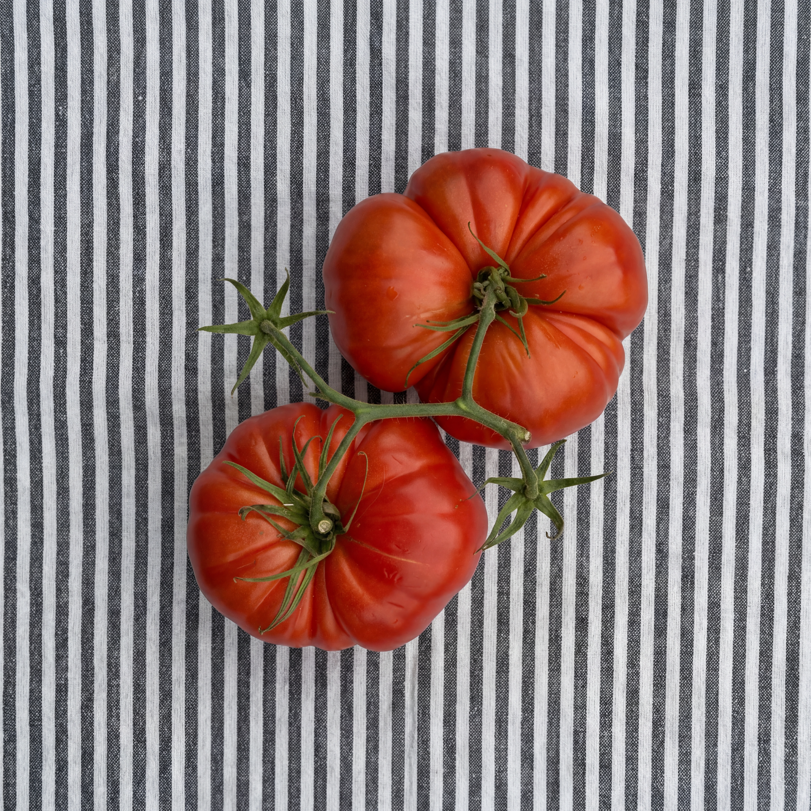 Tomatoes on a blanket