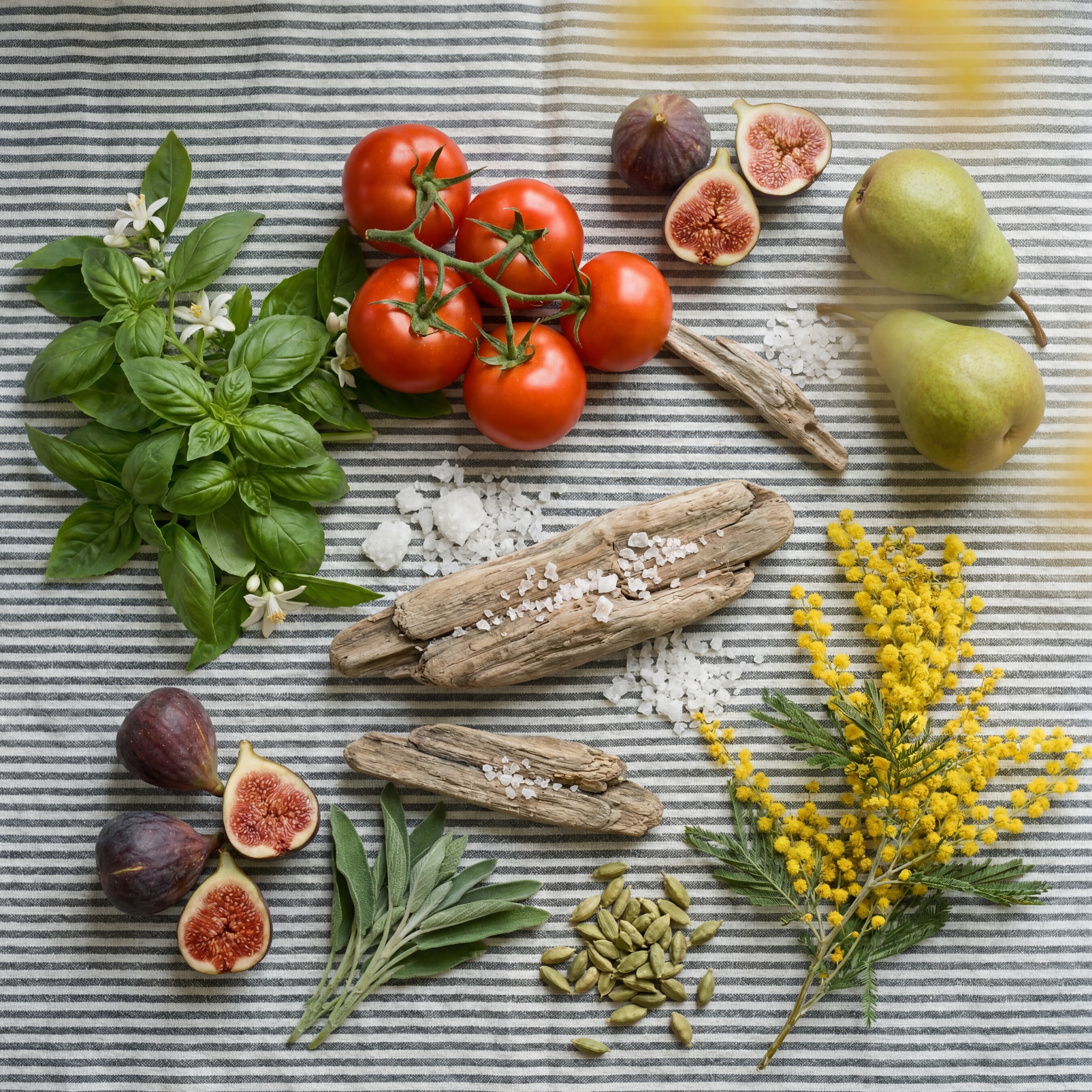 vegetables laying on a striped blanket
