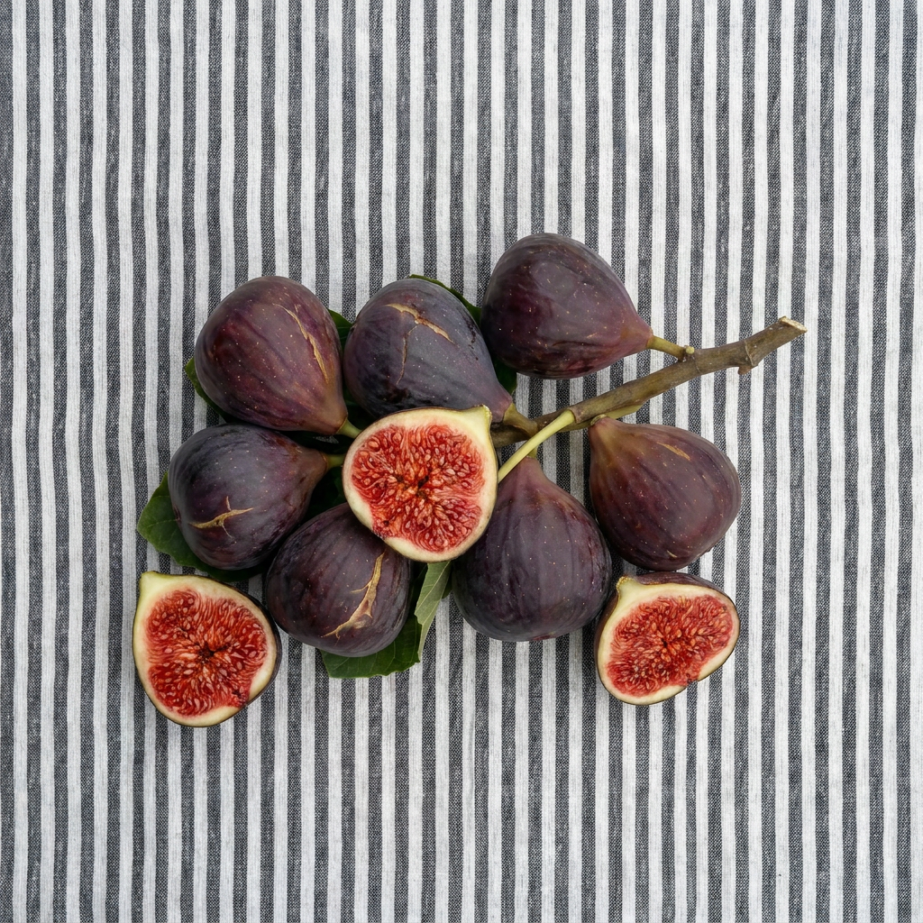 FIGS ON A BLANKET