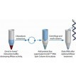 RNA Purification