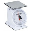 Mechanical Balances