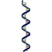 Molecular Biology