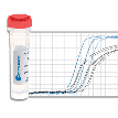 RT-PCR