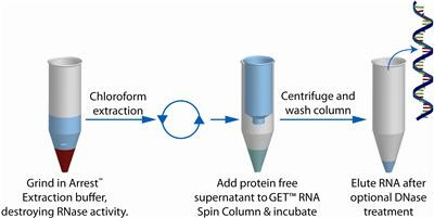 G Biosciences® GET Total RNA