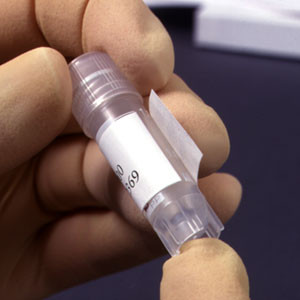 Cryo-Tags® on a sheet for Cryogenic Tubes