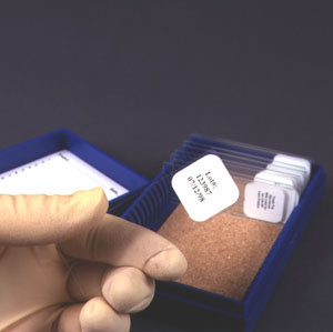 Tough-Tags® on a Sheet for Microscope Slides