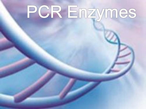 Real-Time PCR Mastermix