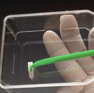 Cell Scraper, 25cm Handle, 20mm Ã¢â‚¬Å“LifterÃ¢â‚¬Â Blade, 100/case by Celltreat Scientific — lab supplies from MedSupply Partners