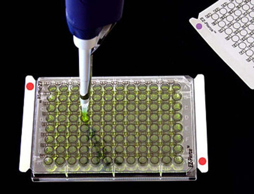EZ-Pierce Sealing Films by Excel Scientific — pcr products from MedSupply Partners