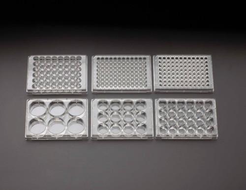 Celltreat® Scientific Multiple Well Plates - Non-Treated by Celltreat Scientific — tissue culture plates from MedSupply Partners