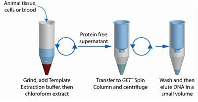 GET DNA Template by G-Biosciences — dna purification from MedSupply Partners