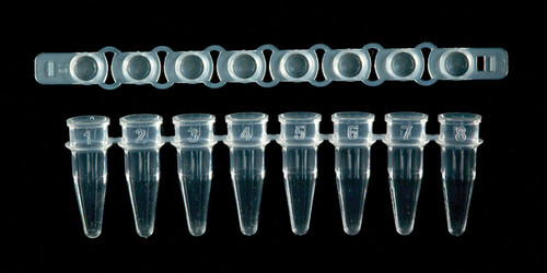 SSI Strip PCR Tube & Cap Combination Packs by Scientific Specialties — pcr tubes from MedSupply Partners