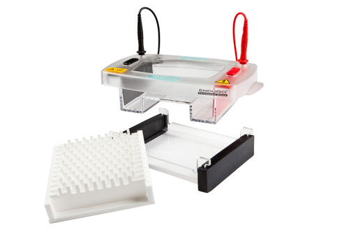 Enduro 96 Horizontal Gel Box System by Labnet International — electrophoresis systems from MedSupply Partners
