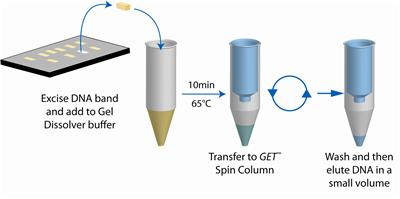 GET AGAROSE DNA by G-Biosciences — electrophoresis reagents from MedSupply Partners