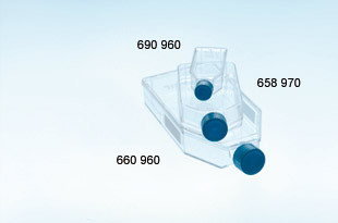Greiner Advanced TC Standard Cap Cell Culture Flask by Greiner Bio-One — tissue culture flasks from MedSupply Partners