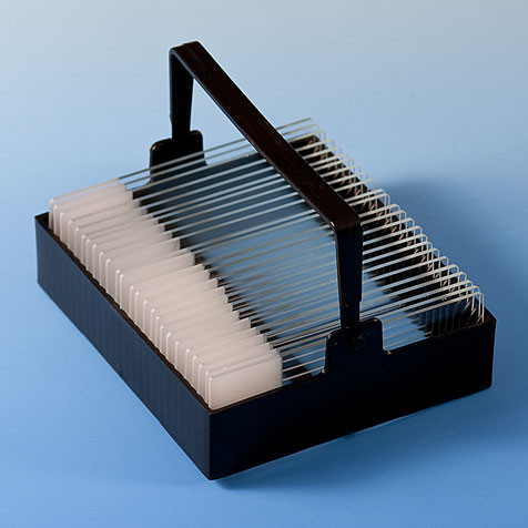 Slide Staining Rack by Globe Scientific — slide staining supplies from MedSupply Partners