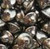 Stainless Steel Cone Balls