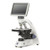Euromex BioBlue Series Compound Microscopes