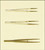 PTFE Coated, Steel Forceps