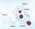 Greiner CELLCOAT® Protein Coated Labware - Collagen Type I by Greiner Bio-One — tissue culture plates from MedSupply Partners (packaging)