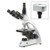 Euromex BioBlue Series Compound Microscopes