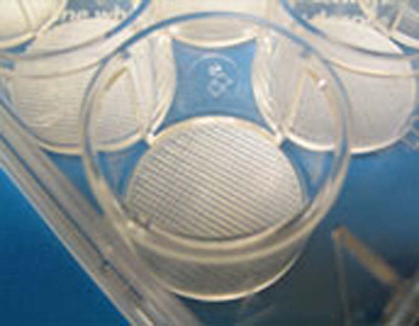 3D cell culture research plate, 96 well, w/24 - 3D polycaprolactone scaffolds, 300um diameter, 400um spacing, 1 Each