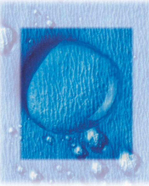 Crosstex® CSR Sterilization Wraps