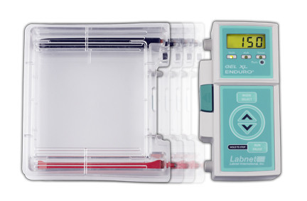 Enduro Gel XL Complete Electrophoresis System