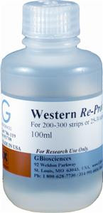 Western ReProbe