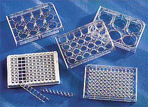 Corning® 96 Well TC-Treated Microplates