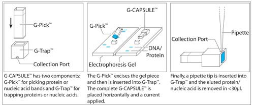 G-CAPSULE Electroelution Device
