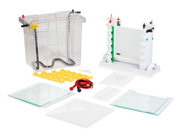 ENDURO VE20 Vertical Gel Electrophoresis System