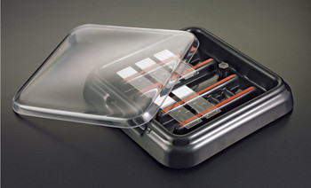 StainTray Slide Staining System by Simport — glassware and plasticware from MedSupply Partners