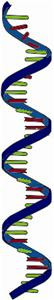 G Biosciences® Arrest Extraction Buffer by G-Biosciences — chemicals from MedSupply Partners