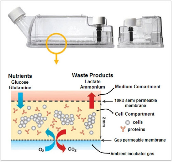 Wheaton CELLine Bioreactors by Wheaton Scientific — tissue culture flasks from MedSupply Partners