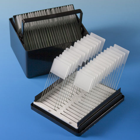 Slide Staining Dish by Globe Scientific — slide staining supplies from MedSupply Partners