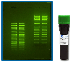 SmartGlow SAFE Nucleic Acid Stain by Benchmark Scientific — electrophoresis systems from MedSupply Partners (detail view)